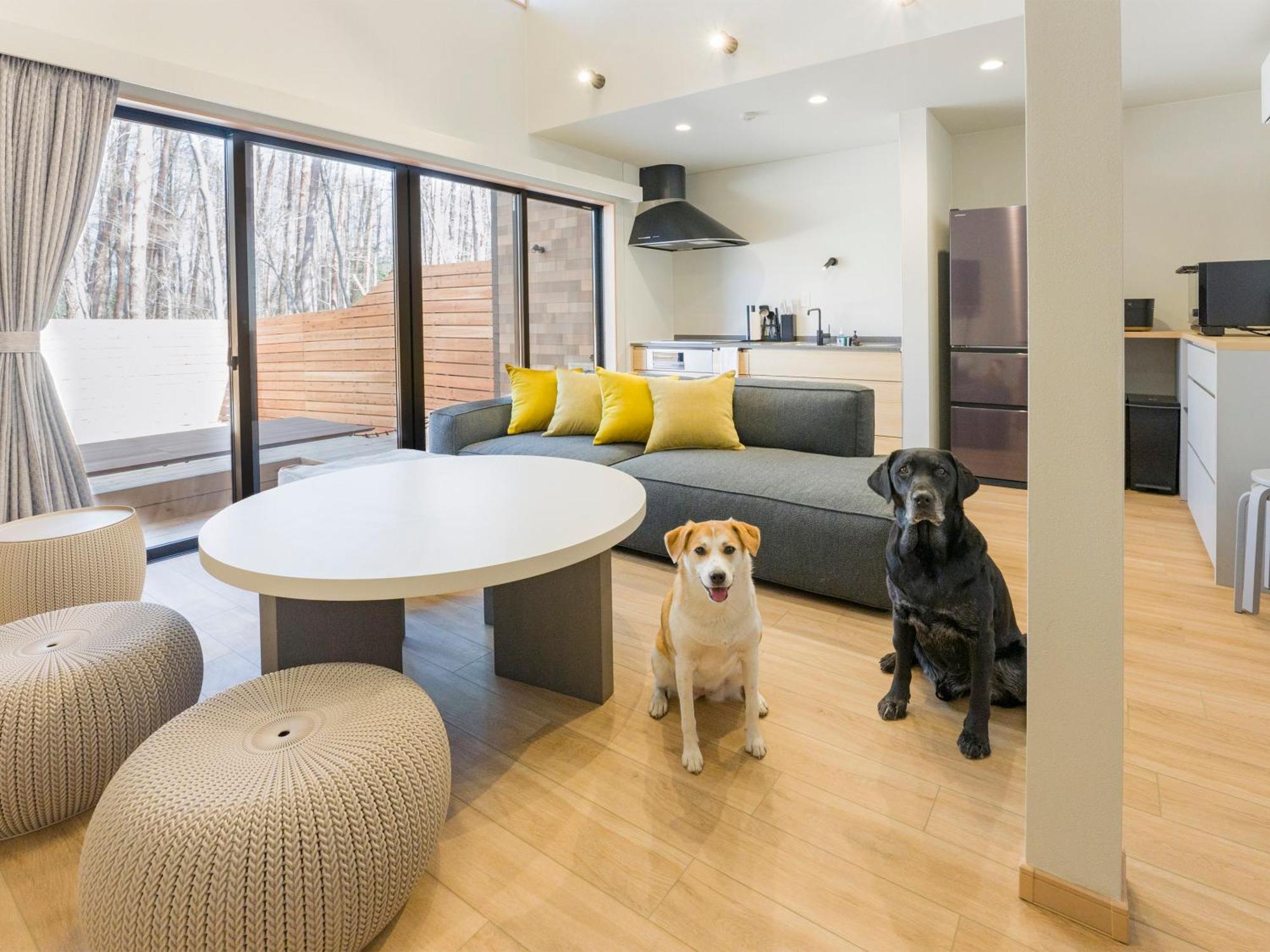 Rakuten Stay Villa Fujikawaguchiko Forest Экстерьер фото