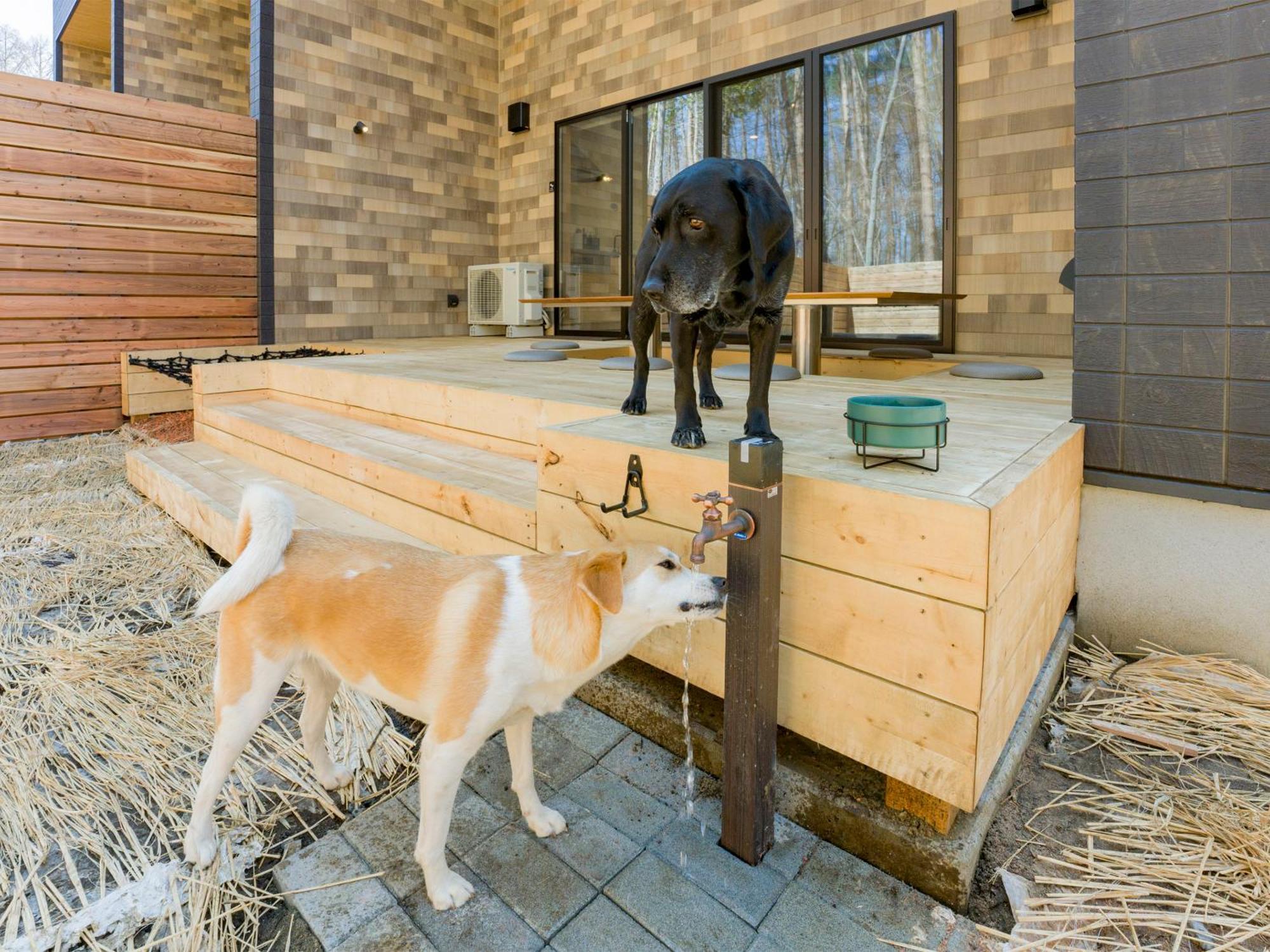 Rakuten Stay Villa Fujikawaguchiko Forest Экстерьер фото